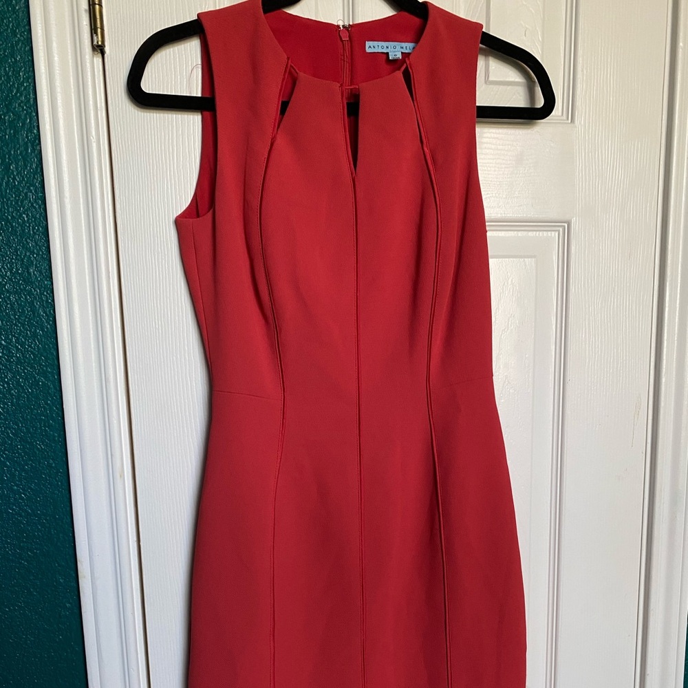 Antonio Melani Buisness Attire Dress